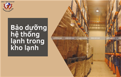 Sàn thao tác cho công tác bảo trì bảo dưỡng hệ thống lạnh trong kho lạnh